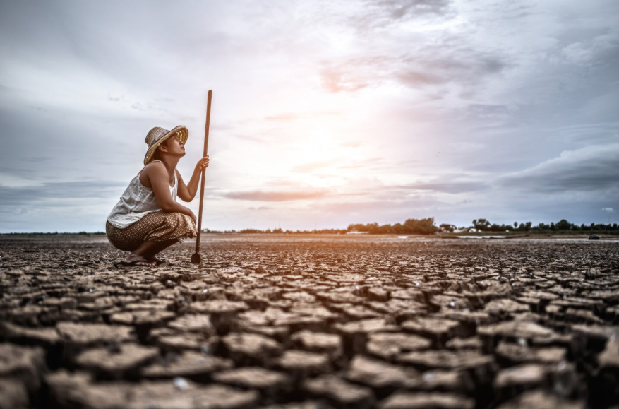 compound climate events explained through drought and extreme heat conditions