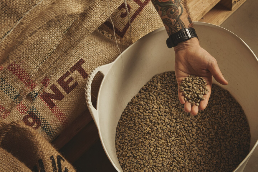 Global supply chains in everyday products shown through coffee bean production